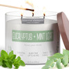 Essential Elements by Candle-lite Scented Candles, Eucalyptus & Mint Leaf