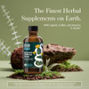 Gaia Herbs Bronchial Wellness Syrup