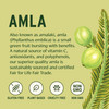 Banyan Botanicals Amla (Amalaki) Powder - Organic Phyllanthus Emblica