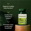 Banyan Botanicals Lung Formula - Organic Respiratory Support for Lung Health