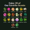 Lagunamoon Essential Oils Set, Top 20 Gift Set Oils for Diffusers, Humidifiers