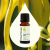 Plant Therapy Ylang Ylang Extra Essential Oil 10 mL (1/3 oz) 100% Pure