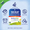 Boiron Arnica Montana 30X Homeopathic Medicine for Relief from Muscle Pain