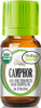 Healing Solutions Camphor Essential Oil 10ml (0.33 oz)