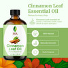 SVA Cinnamon Leaf Essential Oil - 4 Fl Oz - 100% Natural Cinnamon Oil