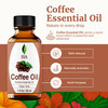 SVA Coffee Essential Oil - 1 Fl Oz - 100% Natural Coffee Oil