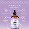 Siva Lavender Essential Oil - 4 Fl Oz - 100% Natural Lavender Oil