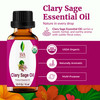 SVA Clary Sage Essential Oil Organic - 1/3 Fl Oz