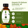 SVA Fir Balsam Essential Oil Organic - 1 Fl Oz