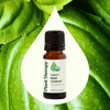 Plant Therapy USDA Certified Organic Basil Linalool Essential Oil 10 mL (1/3 oz)