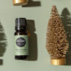 Edens Garden Peppermint- Indian Essential Oil- 100% Pure Premium Grade