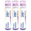 Boiron Arnica Montana 200Ck Homeopathic Medicine for Muscle Pain and Stiffness