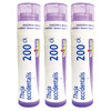 Boiron Thuja Occidentalis 200ck Homeopathic Medicine for Warts