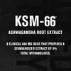 Jacked Factory Ashwagandha Root Extract (KSM-66 Ashwagandha) w/ 5% Withanolides