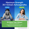 Sugar-Free Ashwagandha Gummies for Stress, Sleep & Mood Support