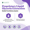 Nervestra - Nerve Health, with Alpha Lipoic Acid,
