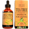 Tea Tree Essential Oil (4 oz) Premium Therapeutic Grade, 100% Pure and Natural