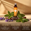 Gya Labs Migraine Manager Essential Oil Roll On - 0.34 Fl Oz