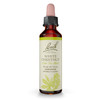 Bach Original Flower Remedies, White Chestnut