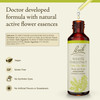 Bach Original Flower Remedies, White Chestnut