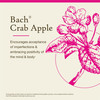 Bach Original Flower Remedies, Crab Apple - Accept Imperfections