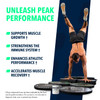 ??NF Sports Pure Glutamine Powder for Muscle Recovery, Immunity Support & Focus