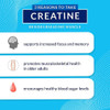BODYTECH Creatine Monohydrate Capsules - Micronized for Maximum Absorption