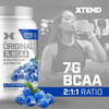 Xtend Original BCAA Powder 7g BCAA and 2.5g L-Glutamine, Sugar Free Post Workout