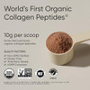 Sports Research Organic Collagen Powder
