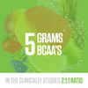RYSE BCAA EAA Powder - Tropical Snocone