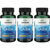 Swanson GABA - Amino Acid Supplement Promoting Calm