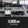 Jacked Factory Creatine Monohydrate Powder 425g