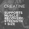 Purbolics Creapure Creatine Monohydrate, Micronized Creatine 5g, Elevate Workout