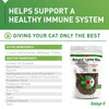 Vetoquinol Enisyl-F Lysine Bites: L-Lysine Chews for Cats & Kittens