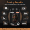 Birdman Falcon Performance Vegan Protein Powder, 31g Protein, 5g Creatine, 5g