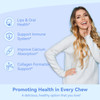 SmildeHeal L-Lysine 1000mg Gummies, Chewable Lysine Supplement for Adults