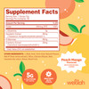 Wellah L-Glutamine Peach Mango (50 Servings)
