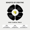 BOD Creatine Gummies, Creatine Monohydrate Gummies, Lemon Drop, for Muscle