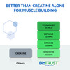 BioTrust Ageless Muscle Builder - Creatine HMB Powder with Vitamin D3 & Betaine