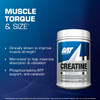 GAT SPORT Creatine Monohydrate 300 Gram Powder, Strength, Brain Health