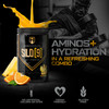 HOSSTILE SILO[9] EAA + Hydration Powder
