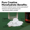 SMARTERNUTRITION Creatine Monohydrate Powder, 5000mg (5g) Per Serving