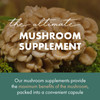 PURE ESSENCE LABS MyPure Maitake Mushrooms