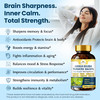 FocusBotaniQ Ginkgo Biloba Turmeric Bacopa Brain Supplement