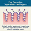Balance ONE L-Glutamine Powder & Zinc Carnosine Supplement