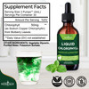 NEW AGE Chlorophyll Liquid Drops - Natural Concentrate