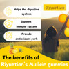 Riyuetian Mullein Gummies, 2000mg Organic Mullein Leaf Extract for Clear Lungs