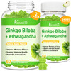 Vazatisi 2 Pack Ginkgo Biloba Gummies 240MG with Panax Ginseng for Better Mood