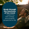 LifeSeasons - Mood Stabili-T - Positive Mood Booster