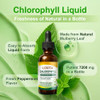 LOVITA Chlorophyll Liquid Drops, High Potency 120 mg/mL, 7,200 mg per Bottle